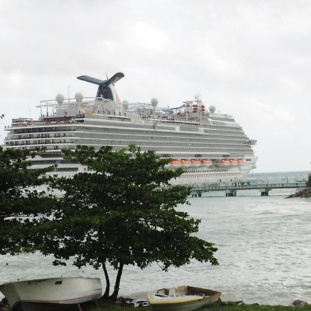 Hotel Aileen Palm Cove Ja Ocho Rios Zewnętrze zdjęcie