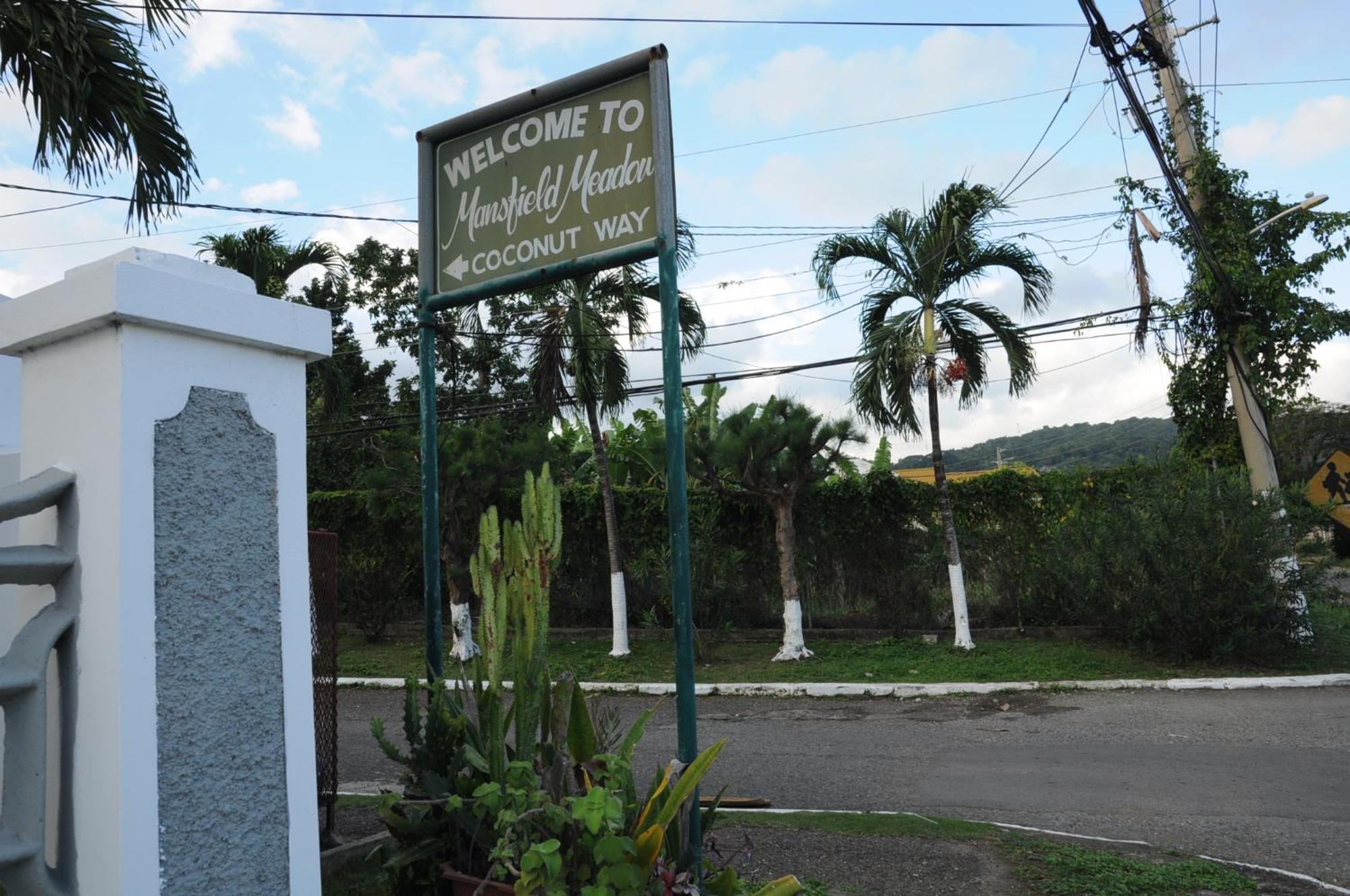 Hotel Aileen Palm Cove Ja Ocho Rios Zewnętrze zdjęcie