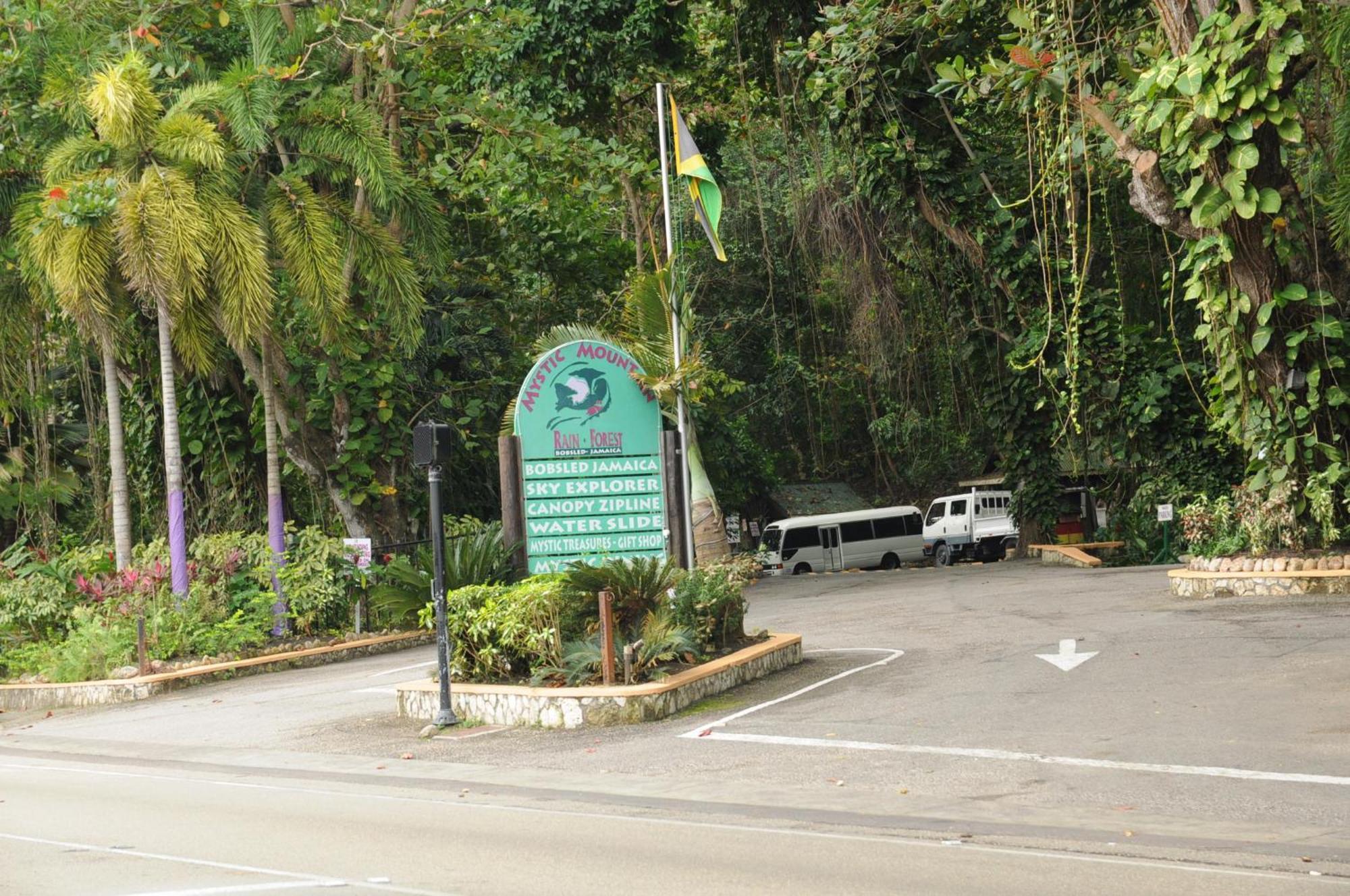 Hotel Aileen Palm Cove Ja Ocho Rios Zewnętrze zdjęcie